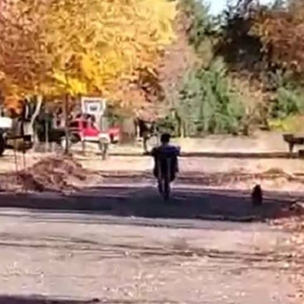 Meet your Posher, Elle